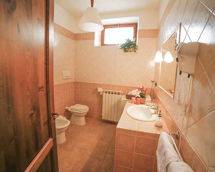 Bathroom with shower and washing machine -  Le Muse vacation apartment Bevagna, Umbria, Italy